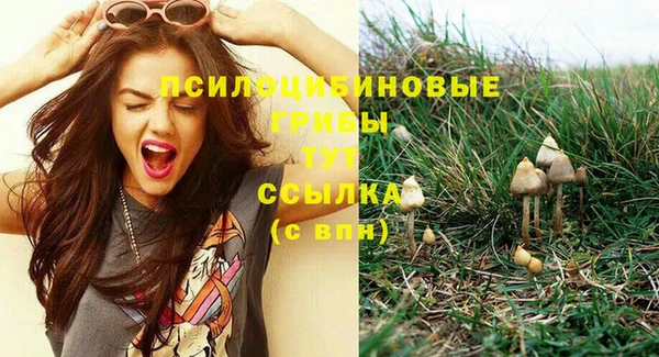 ECSTASY Зерноград