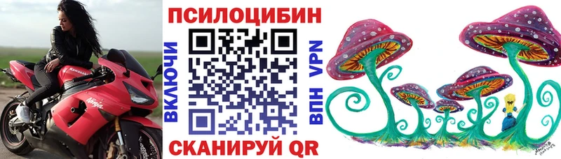 Псилоцибиновые грибы Psilocybine cubensis  Купить  Можайск 
